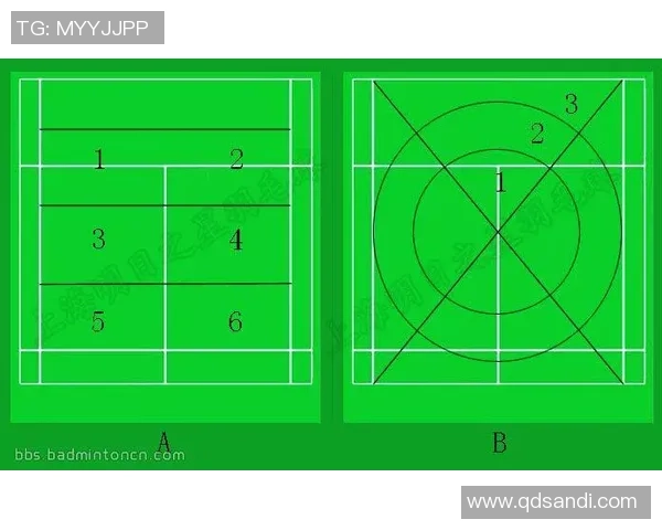 重庆羽毛球队总决赛战术分析与表现评估全面解读
