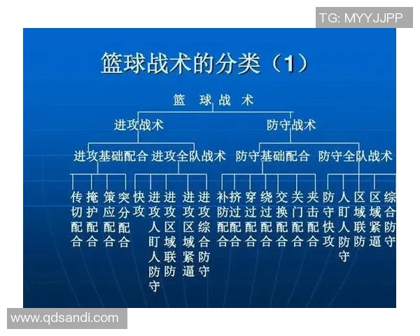 成都篮球队技术分析与战术探讨聚焦篮球发展新趋势